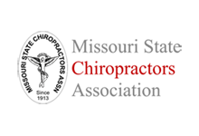 About Cash Practice Bodzin Speaking at the Missouri State Chiropractors Association